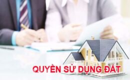 Quyền sử dụng đất theo quy định