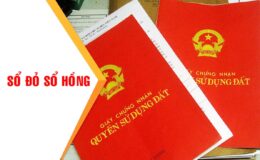 Thời gian ký cấp sổ đỏ