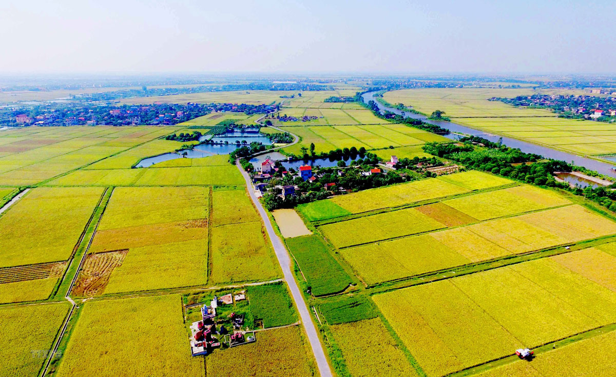 Thủ tục chuyển mục đích sử dụng đất 