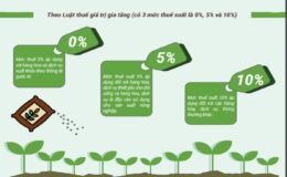 Thuế suất thuế GTGT