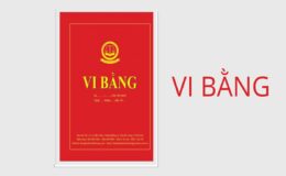 Vi bằng là gì?
