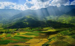 phân biệt khung giá bảng giá giá đất