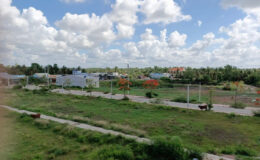 Lô đất có được cấp sổ đỏ không?